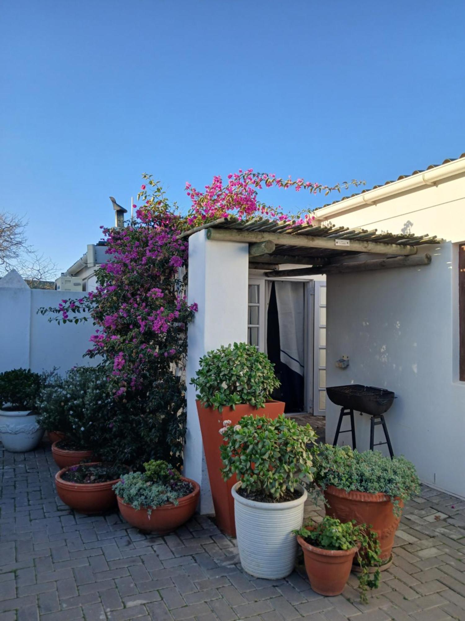 Langebaan Kite Cottages Kültér fotó